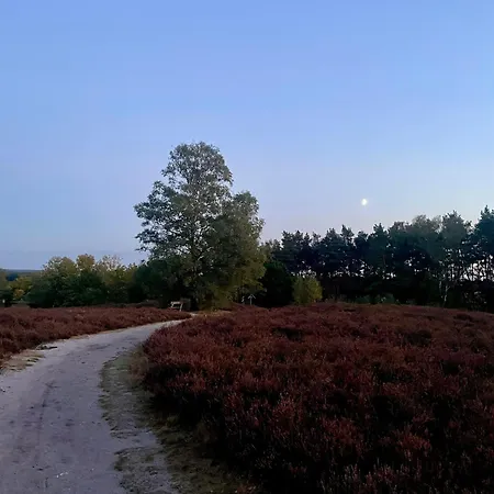 Bisamlodge * Faßberg