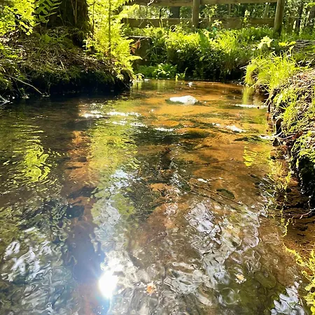 Bisamlodge